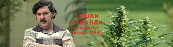 ешки Арсеньев