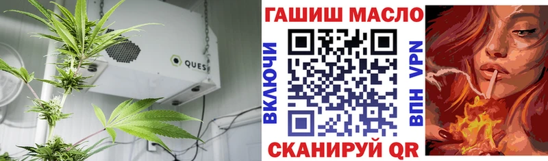 mega онион  Олонец  Дистиллят ТГК концентрат 