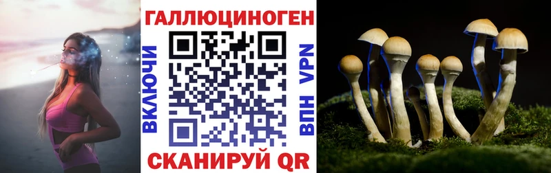 даркнет какой сайт  Олонец  Псилоцибиновые грибы Cubensis 